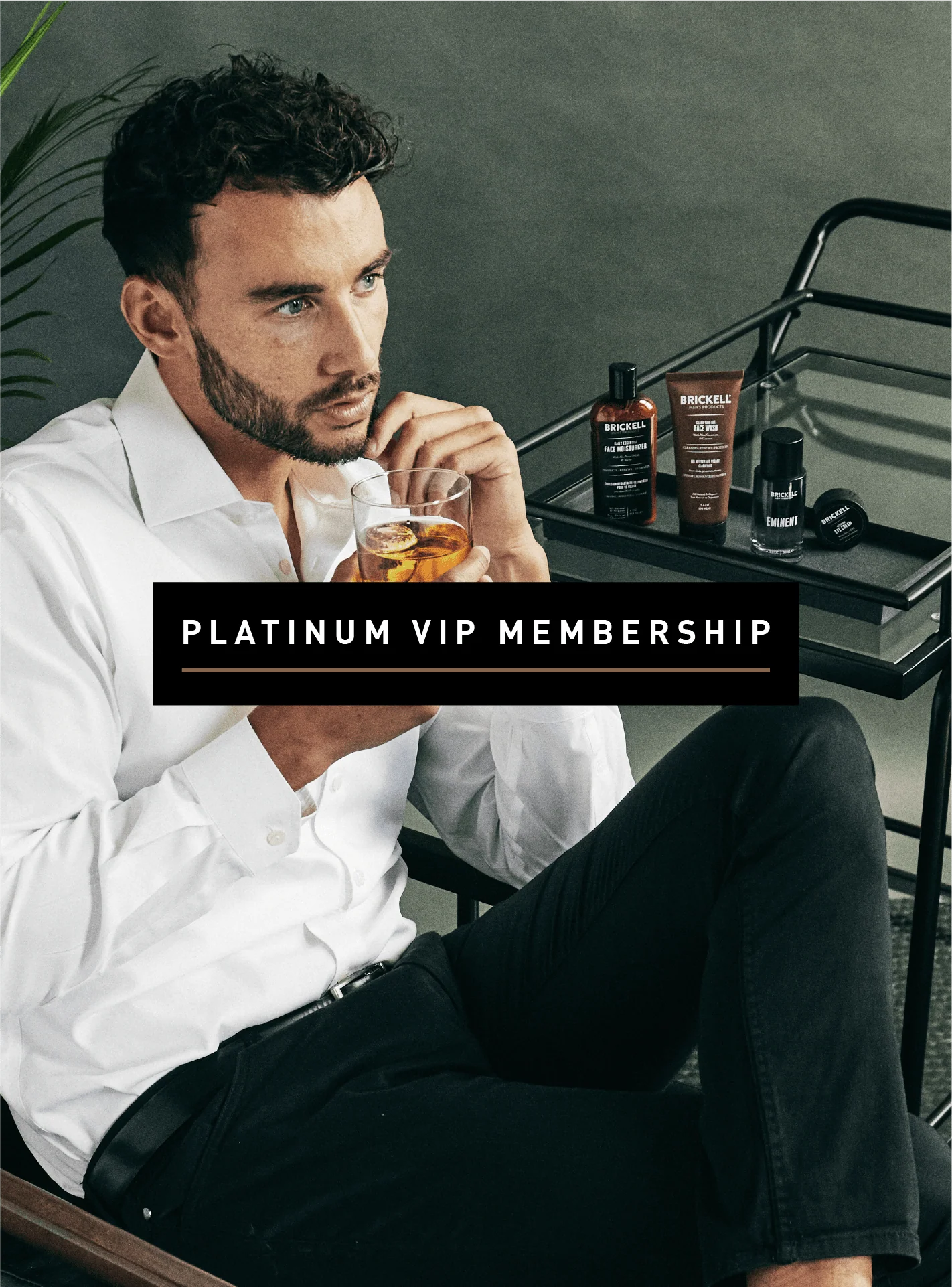 Brickell Platinum VIP Subscription - Image 2